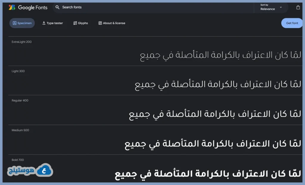 استضافة خطوط جوجل محليا